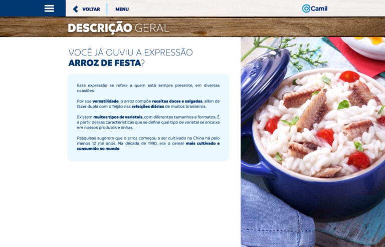 Arroz_descricao