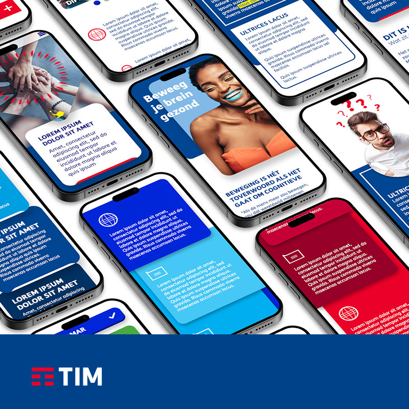 TIM - Style Guide | Daniel Lucas